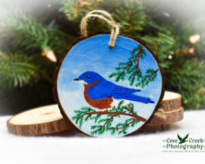 A handmade Christmas ornament with an eastern bluebird hand-painted on a wood slice at Cove Creek Photography.